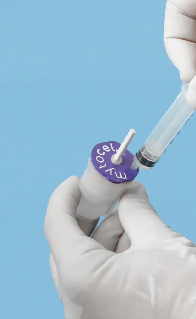 Auricular cartilage sample being prepared in the Rigeneracons RS device
